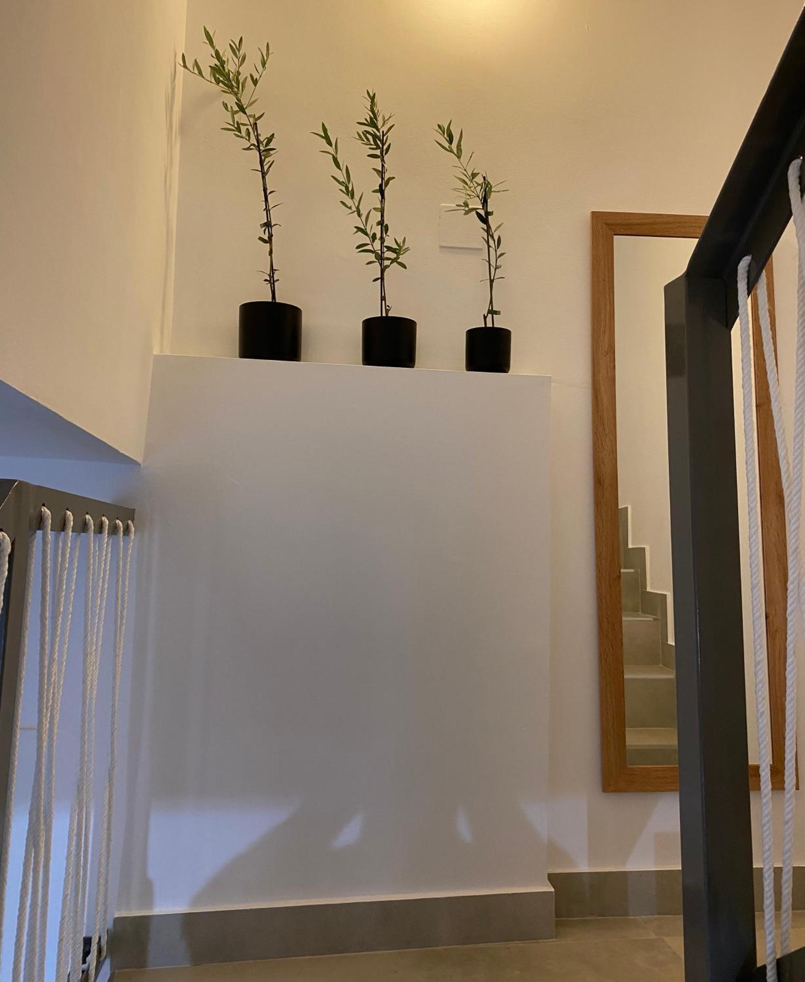 El Olivo Villa Алкаудете Екстериор снимка
